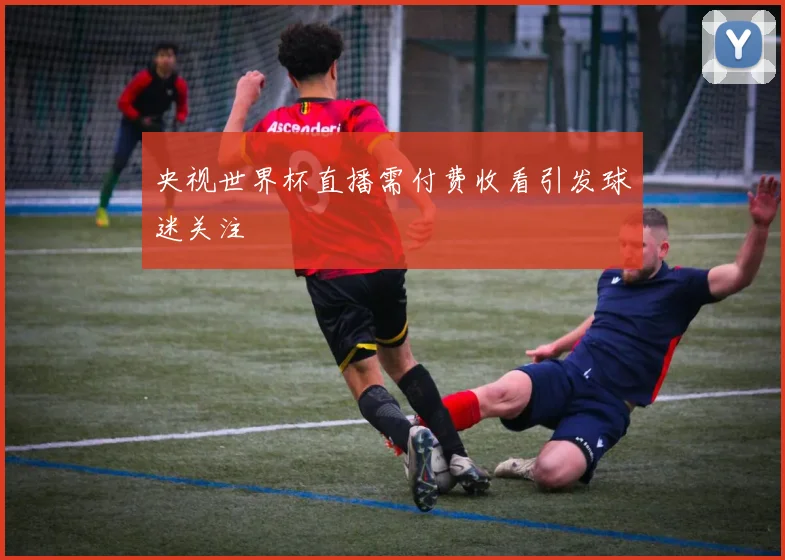 央视世界杯直播需付费收看引发球迷关注