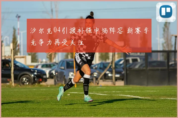 沙尔克04引援补强中场阵容 新赛季竞争力再受关注