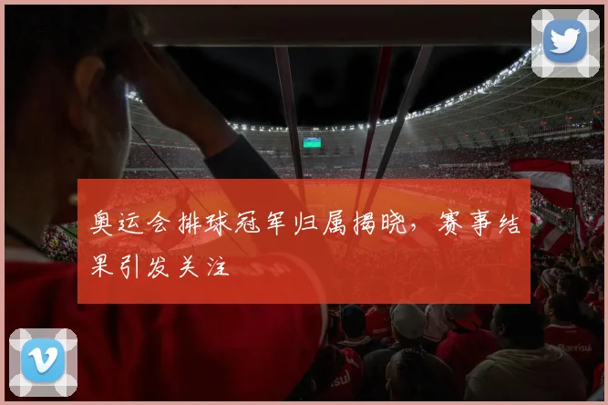 奥运会排球冠军归属揭晓,赛事结果引发关注