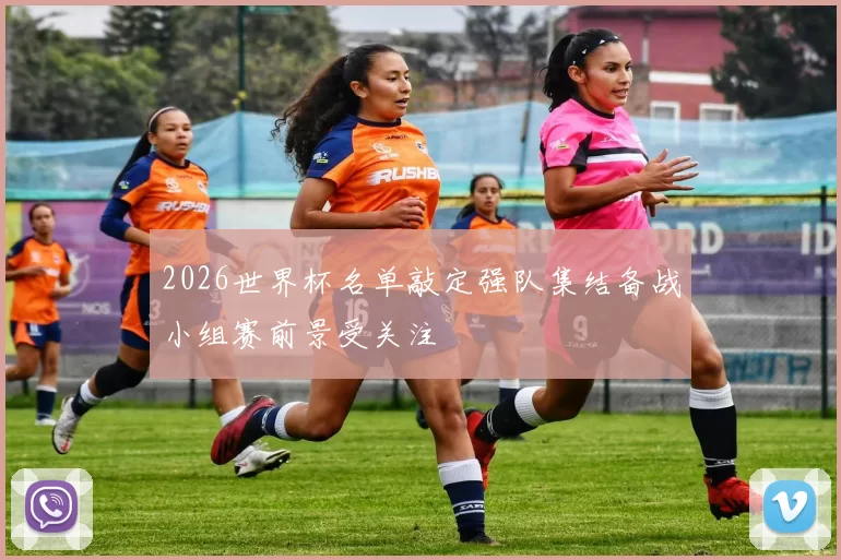 2026世界杯名单敲定强队集结备战小组赛前景受关注